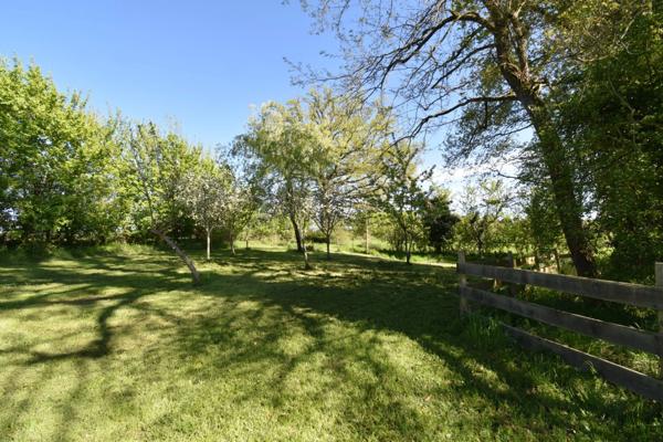 Ensemble de 3 maisons avec grande piscine, dans son écrin de verdure de 2,5 hectares