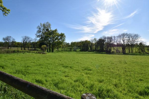 Ensemble de 3 maisons avec grande piscine, dans son écrin de verdure de 2,5 hectares