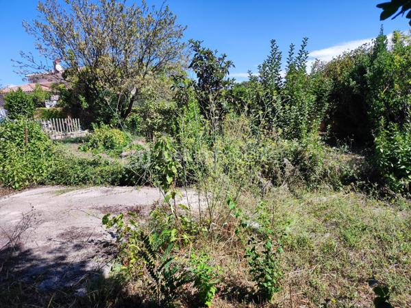 Montbazin, dans un quartier résidentiel au calme et  proche du centre du village, découvrez ce beau terrain plat de 500 m², hors lotissement, viabilisé.  Emprise au sol de 200 m², le terrain est libre du constructeur. Il est agrémenté de quelques arbres, offrant un cadre naturel et paisible.