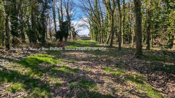 Maison à vendre à Louannec dans les Côtes-d'Armor (22700), ref : VM347-22093