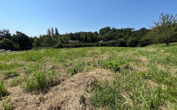 Terrain à vendre    Meximieux