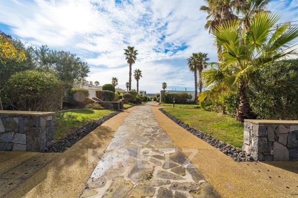 Marina réhabilitée sur le port