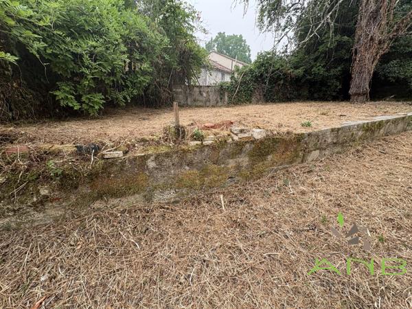 🏡 Maison de Caractère en Pierre avec Jardin — Grassac, Charente