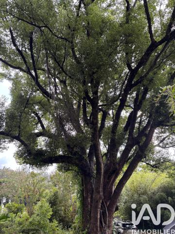 Terrain à vendre 888 m² Saint-Denis