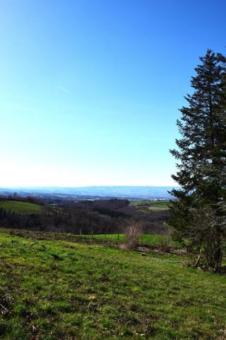 Vente / Terrain à Saint-Héand (42570)