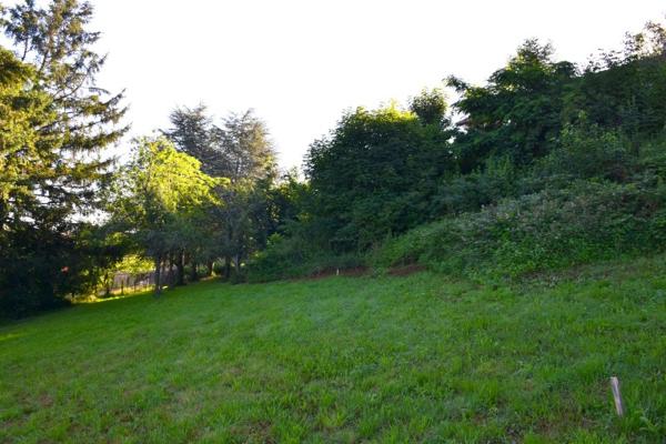 Vente / Terrain à Saint-Héand (42570)