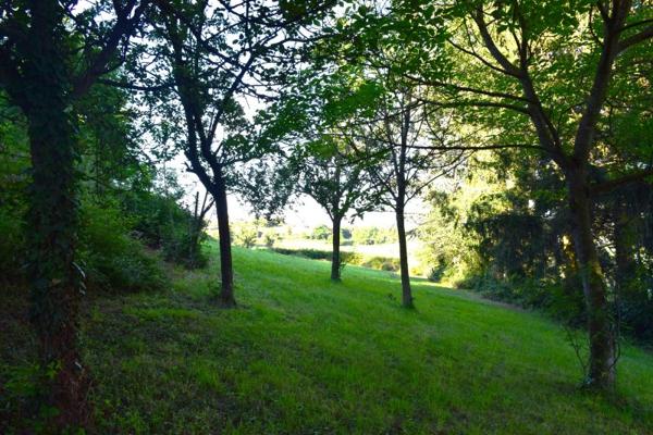 Vente / Terrain à Saint-Héand (42570)