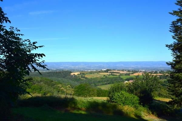 Vente / Terrain à Saint-Héand (42570)