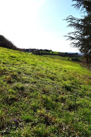 Vente / Terrain à Saint-Héand (42570)
