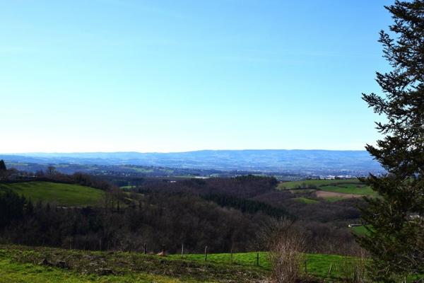 Vente / Terrain à Saint-Héand (42570)