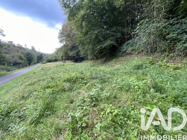 Terrain à vendre 1 461 m² Anchamps