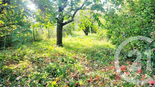 Terrain à vendre  513 m2 PLANCOET - 22