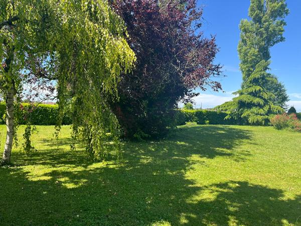 Maison Saint-ay 8 pièce(s) 209 m2