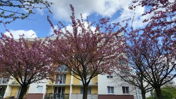 Vente / Appartement T5