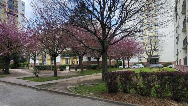 Vente / Appartement T5