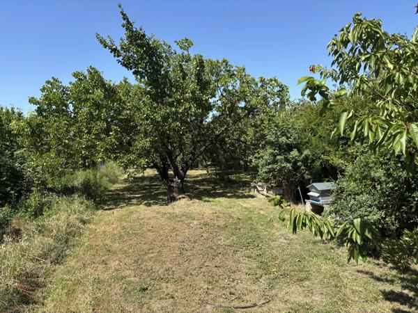 Vente                                                      Maison
                        
                     7 pièces                                         à Carpentras