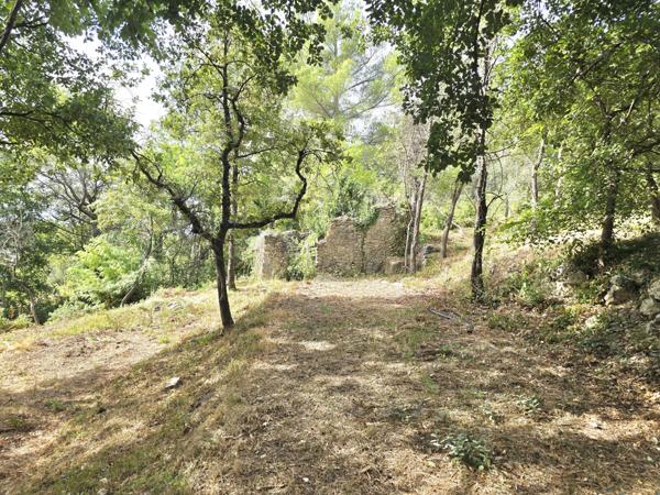 Fayence (83440) Magnifique terrain constructible pour votre villa de rêve !