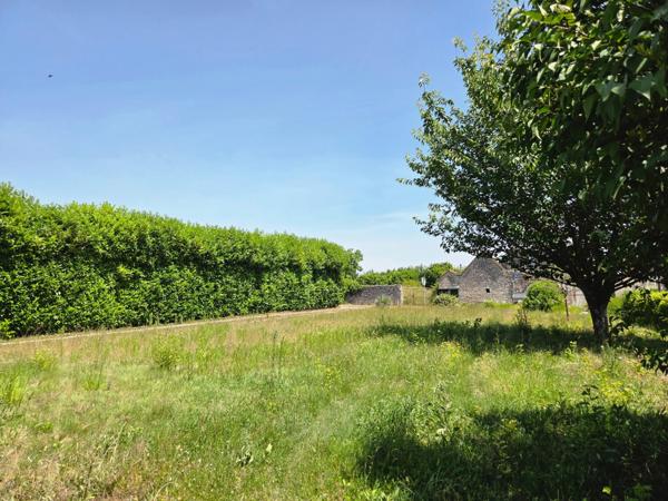 Ensemble de 2 bâtis sur plus d'1.5 hectare !