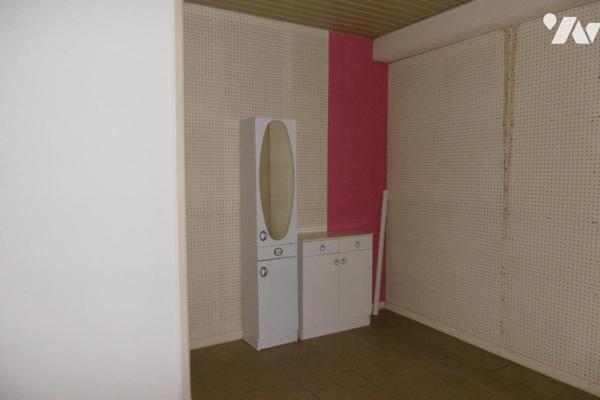 ENSEMBLE IMMOBILIER LOCAL COMMERCIAL HABITATION TERRASSE 300 m² habitables