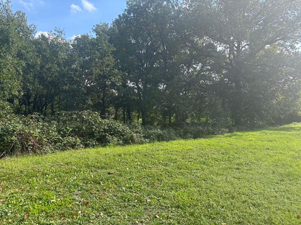 Maison 160m2, dependances, 2ha25