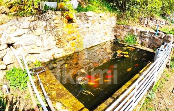 Maison au calme avec 4 chambres exposition plein sud