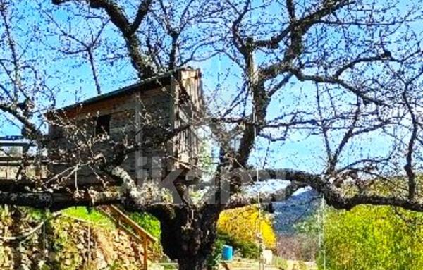 Maison au calme avec 4 chambres exposition plein sud