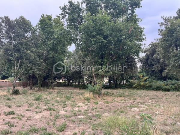 Terrain de 1 200 m²