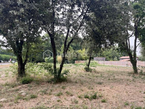 Terrain de 1 200 m²