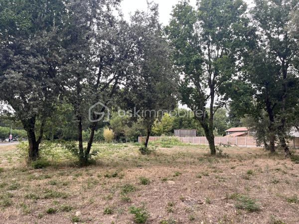 Terrain de 1 200 m²