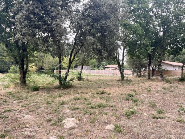 Terrain de 1 200 m²