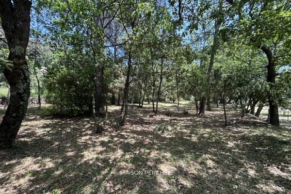 Draguignan (83300) FLORE