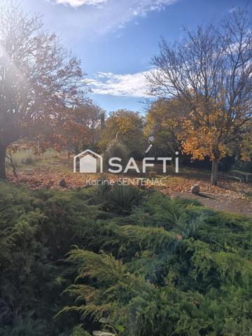 superbe maison avec cour goudronnée avec soin très riche en fleurs et arbustes