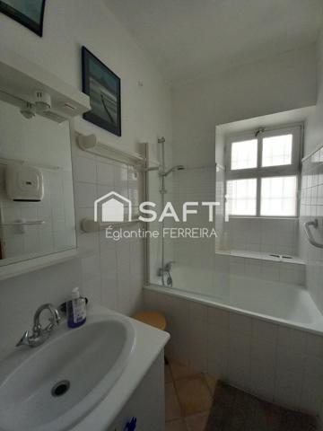 INDRE (36), HOTEL PARTICULIER DU XVIIe SIECLE AVEC GITES