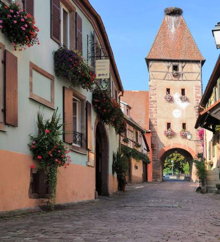 Investissement clé en main au cœur du vignoble alsacien