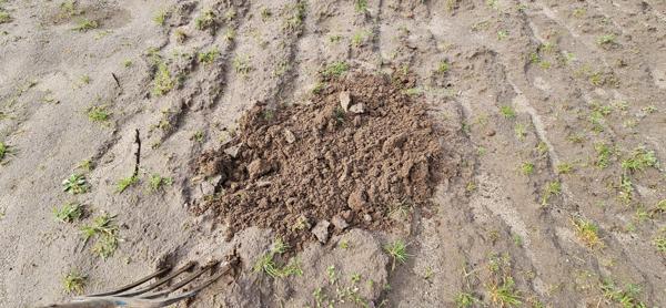 Maison à SAULNAY (36290)