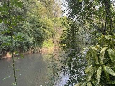 Terrain de loisirs - Bois - Etang à vendre à Vernou-sur-Brenne dans l'Indre-et-Loire (37210), ref : 2024/1992 VOUVRAY