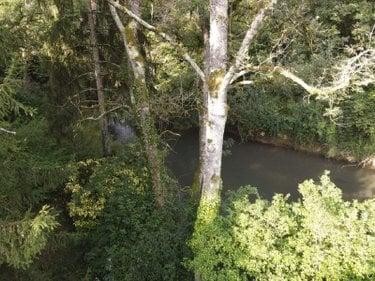 Terrain de loisirs - Bois - Etang à vendre à Vernou-sur-Brenne dans l'Indre-et-Loire (37210), ref : 2024/1992 VOUVRAY