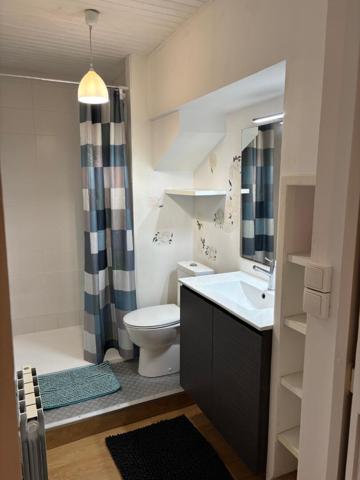 Appartement au coeur de Morlaix 2 pièce(s) 46 m2 Morlaix