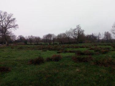 Terrain agricole à vendre à Villaines-la-Juhel en Mayenne (53700), ref : 971 Terrain agricole à vendre à Villaines-la-Juhel en Mayenne (53700), ref : 971