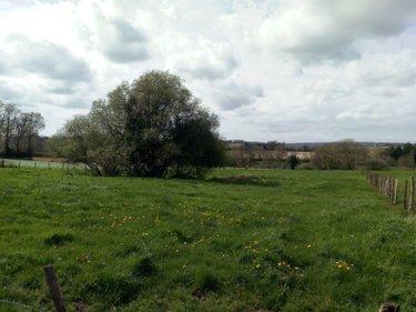 Terrain agricole à vendre à Villaines-la-Juhel en Mayenne (53700), ref : 971 Terrain agricole à vendre à Villaines-la-Juhel en Mayenne (53700), ref : 971