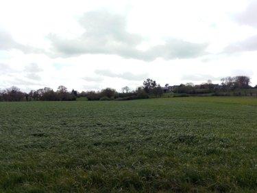 Terrain agricole à vendre à Villaines-la-Juhel en Mayenne (53700), ref : 971 Terrain agricole à vendre à Villaines-la-Juhel en Mayenne (53700), ref : 971