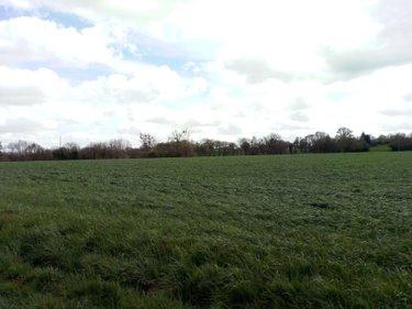 Terrain agricole à vendre à Villaines-la-Juhel en Mayenne (53700), ref : 971 Terrain agricole à vendre à Villaines-la-Juhel en Mayenne (53700), ref : 971