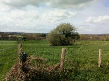 Terrain agricole à vendre à Villaines-la-Juhel en Mayenne (53700), ref : 971 Terrain agricole à vendre à Villaines-la-Juhel en Mayenne (53700), ref : 971