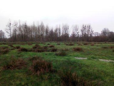 Terrain agricole à vendre à Villaines-la-Juhel en Mayenne (53700), ref : 971 Terrain agricole à vendre à Villaines-la-Juhel en Mayenne (53700), ref : 971