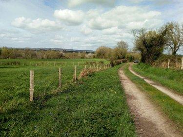 Terrain agricole à vendre à Villaines-la-Juhel en Mayenne (53700), ref : 971 Terrain agricole à vendre à Villaines-la-Juhel en Mayenne (53700), ref : 971