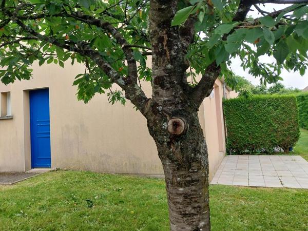 Appartement à EVRON, 53600 - 1 pièce 30m²