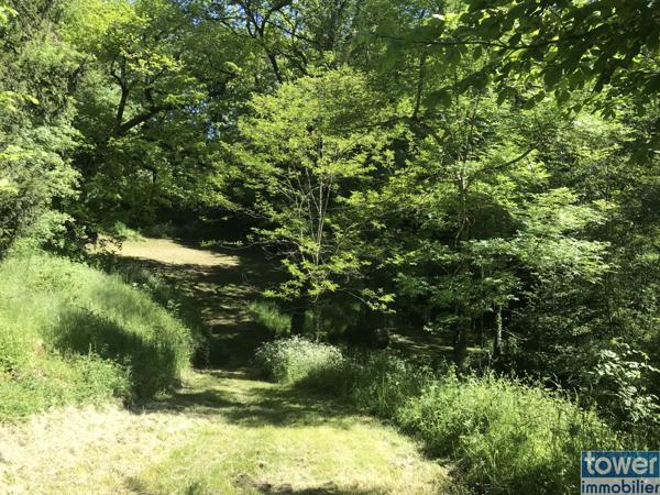 Propriété en pierres de 220m² avec hangard de 370m², pigeonnier, maison indépendante, étang sur 2 ha de terra