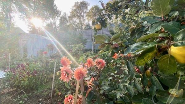 Maison à vendre 7 pièces (56) MONTERBLANC