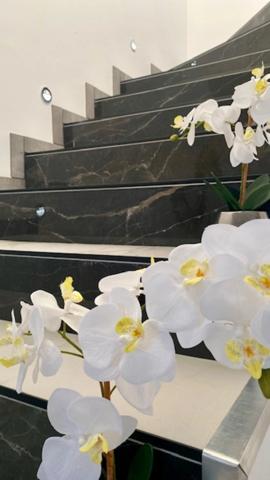 Maison à vendre 7 pièces (56) MONTERBLANC