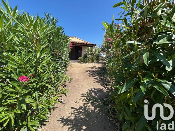 Appartement à vendre 2 pièces 29 m² Albitreccia